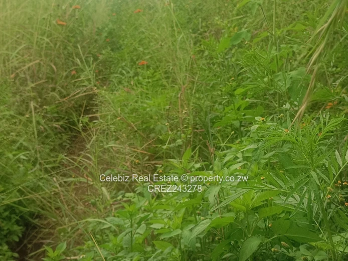 Prime land for sale in Glen Forest 