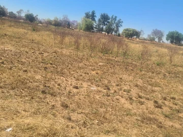 Farm & Agricultural Land