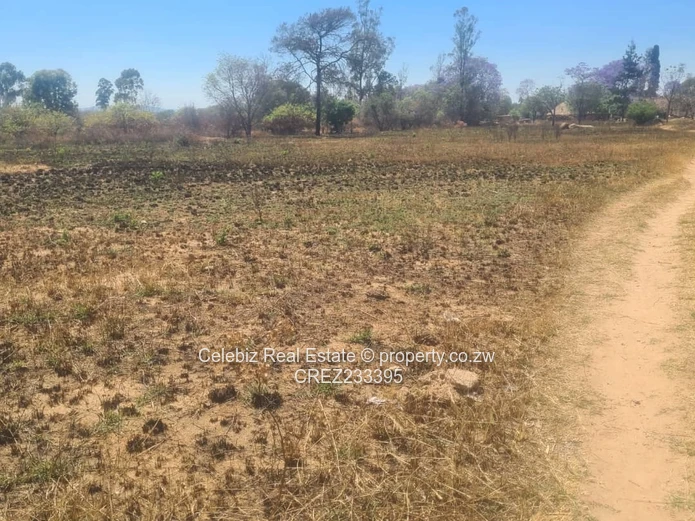 Norton plot for sale 