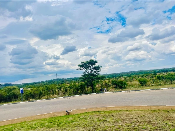 Commercial & Industrial Land