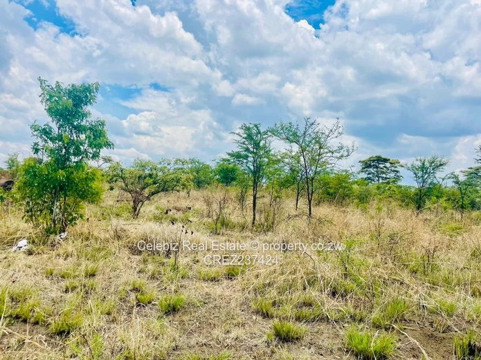 Halfway Chegutu plot for sale 