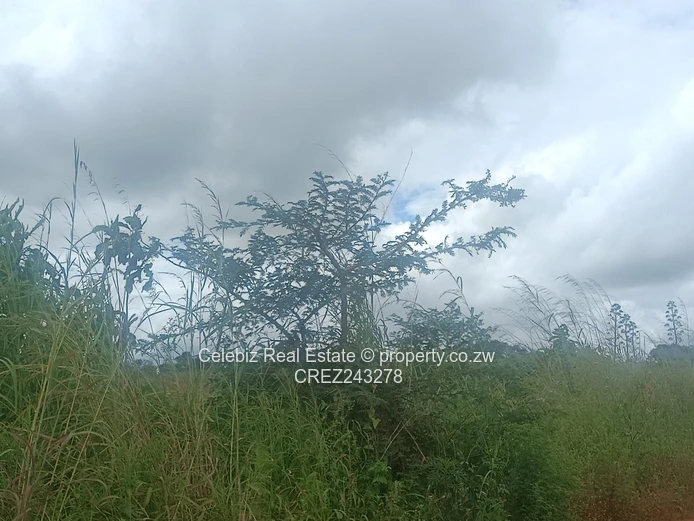 Prime land for sale in Glen Forest 