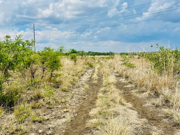 Commercial & Industrial Land