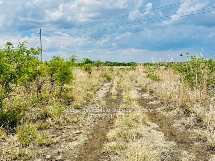 Halfway Chegutu plot for sale 