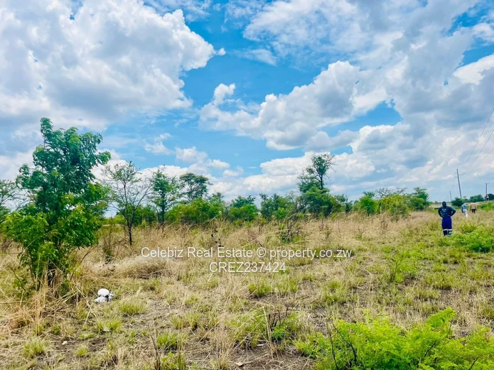 Halfway Chegutu plot for sale 