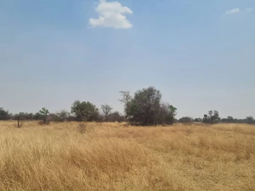 Farm & Agricultural Land