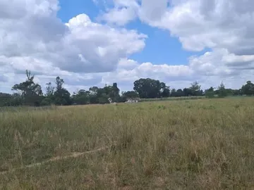 Farm & Agricultural Land