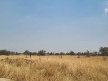 Farm & Agricultural Land