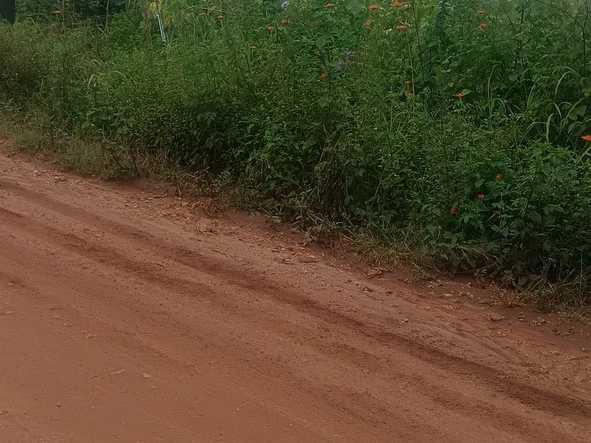 Farm & Agricultural Land