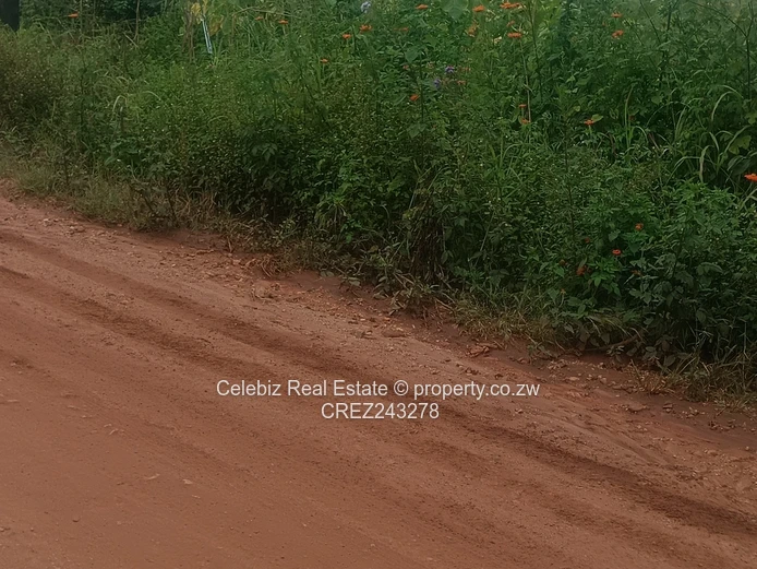 Prime land for sale in Glen Forest 