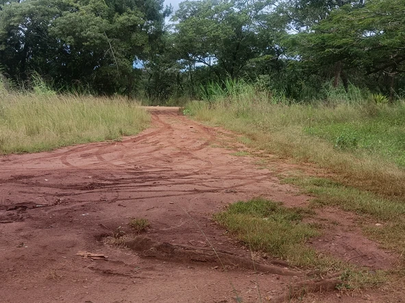 Farm & Agricultural Land