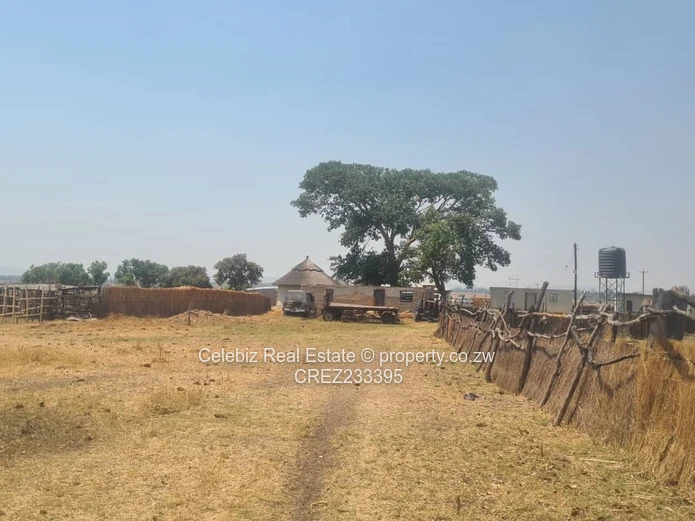 Norton plot for sale 