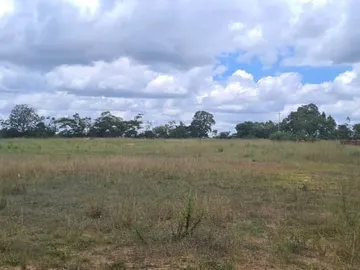 Farm & Agricultural Land