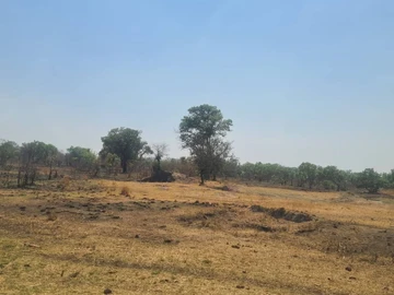 Farm & Agricultural Land