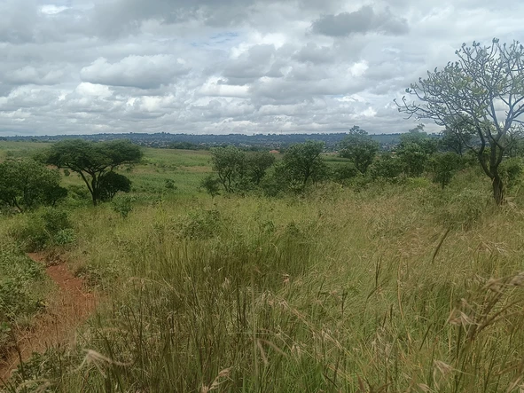 Farm & Agricultural Land