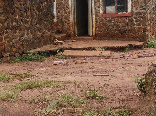 Farm & Agricultural Land