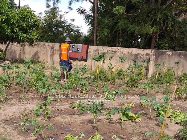 Waterfalls house for sale 