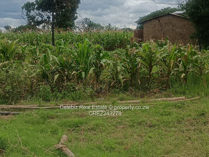 Prime land for sale in Glen Forest 