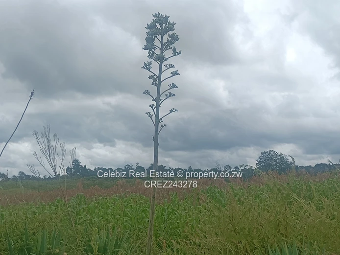 Prime land for sale in Glen Forest 