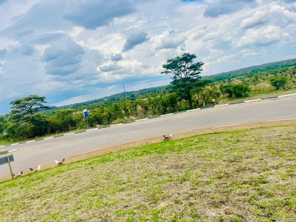 Commercial & Industrial Land