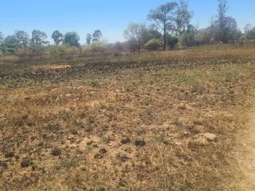 Farm & Agricultural Land