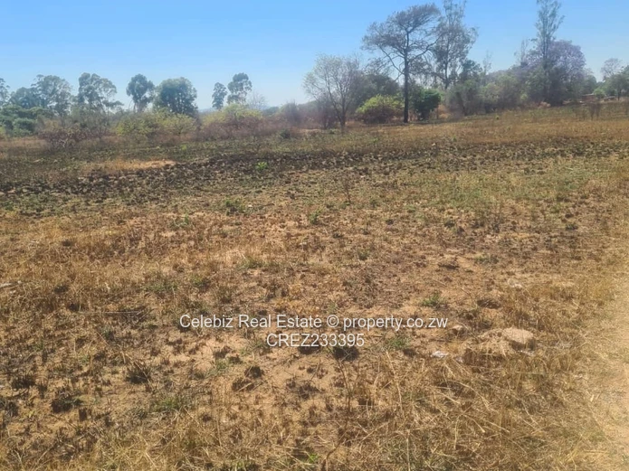 Norton plot for sale 