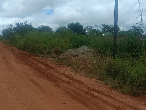 Farm & Agricultural Land