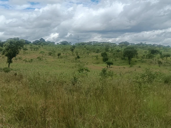 Farm & Agricultural Land