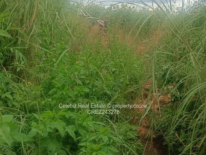 Prime land for sale in Glen Forest 