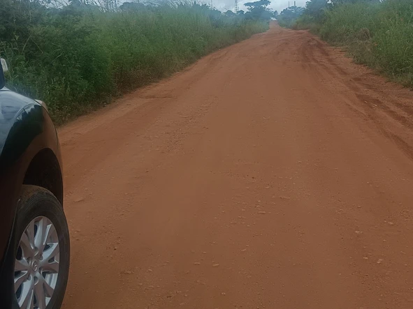 Farm & Agricultural Land