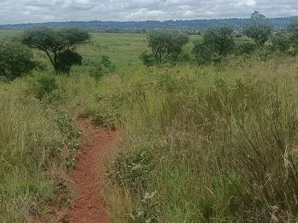 Farm & Agricultural Land