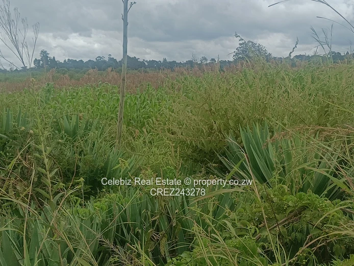 Prime land for sale in Glen Forest 