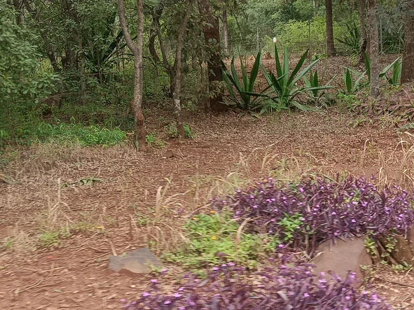 Farm & Agricultural Land