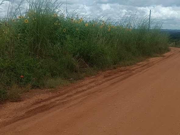 Farm & Agricultural Land