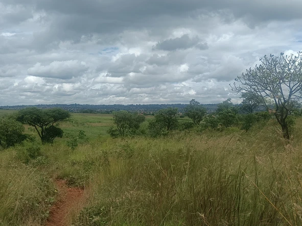 Farm & Agricultural Land