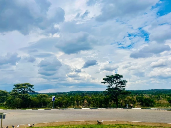 Commercial & Industrial Land