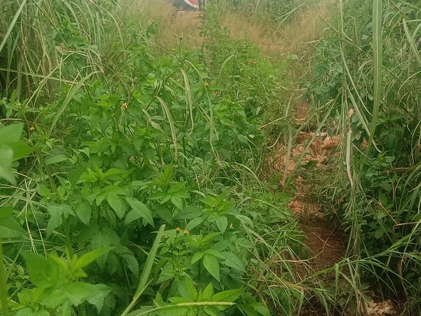 Farm & Agricultural Land