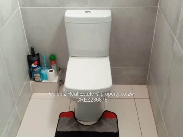 Brooke Ridge, Borrowdale 