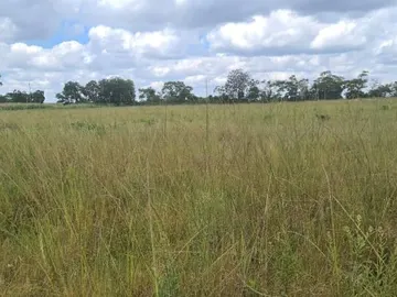 Farm & Agricultural Land