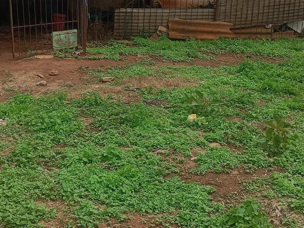 Farm & Agricultural Land