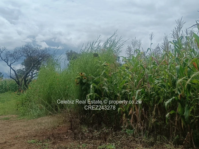 Prime land for sale in Glen Forest 