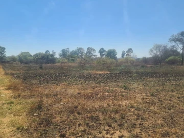 Farm & Agricultural Land